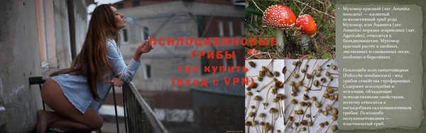 индика Абинск
