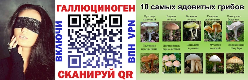 Галлюциногенные грибы Psilocybe  сколько стоит  Иваново 